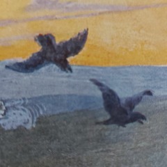 Noch zwei seiner Art