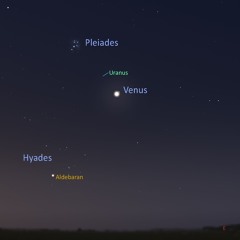 6/30/25 - A Feast of Morning Objects