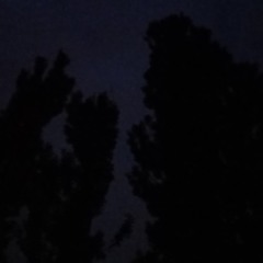 22-26-14-24-22-26-10--19-20-1-14-25