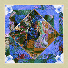 Weird Bed &/or Yes Please (Instrumental)