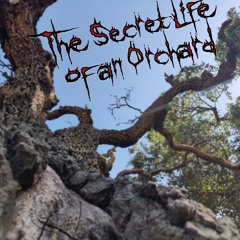 Secret Life of an Orchard