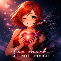 Too Much, Not Enough