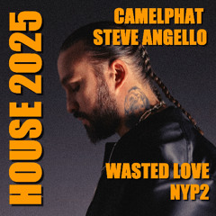 Camelphat X Steve Angello - NYP2 X Wasted Love (Allen Parck Mashup)