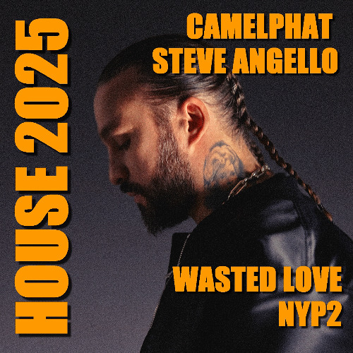 Camelphat X Steve Angello - NYP2 X Wasted Love (Allen Parck Mashup)