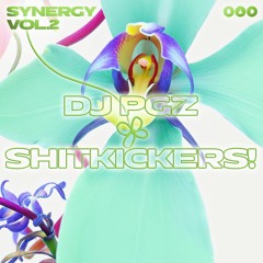 DJ PGZ - Shitkickers!