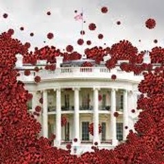 Covid House Release 1