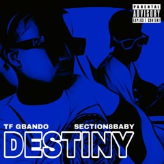 Destiny(ft.SECTION8BABY)