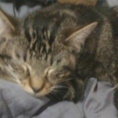 what cures my pain part 3