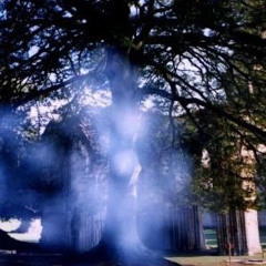 IMPERIAL  - BURY ME HEAD-DOWN WITH YEW WOOD