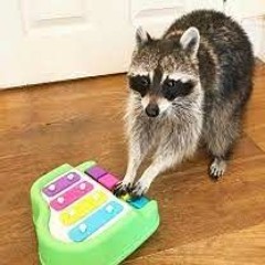 Mein Herz Brennt Piano Ver. - Cover