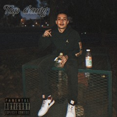 Top Dawg' (Prod. Gibbo X Kookup)