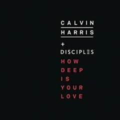 Calvin Harris + Disciples - How Deep Is Your Love (Tony Deluca pride remix)