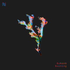 DJRAAN - Burning (Original Mix)