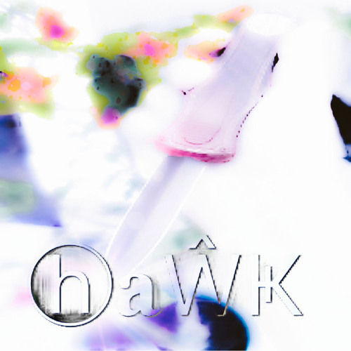 hawk [prod 77mending] #pz