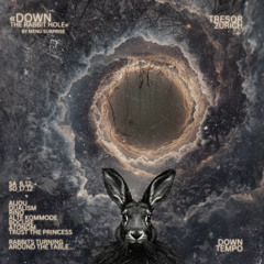 25_12 - Live at Tresor Zurich - Night 2