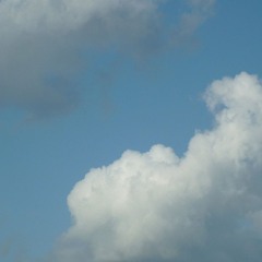 wie Famous Blue Raincoat (instrumental)