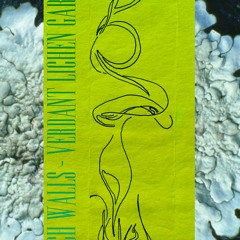 Verdant Lichen Garden