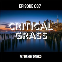 Ep. 037 - Danny Danko