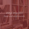 Vinyl Mix 001 : Deep and Vocal sounds of the Underground DJ mix artwork - Electronic music tracklist cover image
