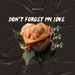 Don't Forget my Love x Lies Lies Lies