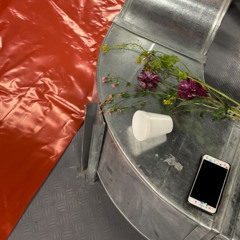 setsito ʕっ•ᴥ•ʔっ❤