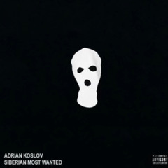 ADRIAN KOSLOV -LAS COSAS QUE DIJIMOS