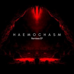 Mondarian - Haemochasm (dustclears Remix)
