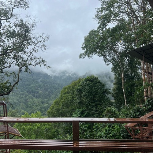 foundation of the cosmos.mp3