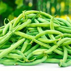 Serg and Denyk - Фасулі мачати