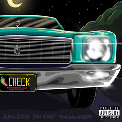 Check (Radio Edit) [feat. YNW Melly & YNW SakChaser]