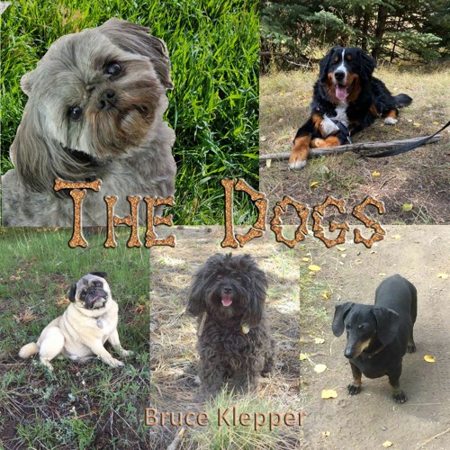 The Dogs