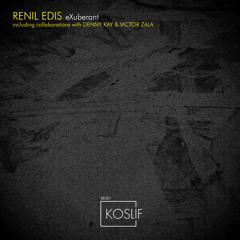 Acid Techno