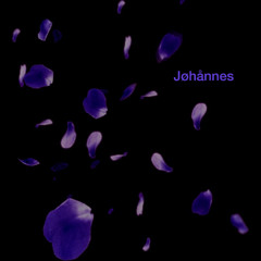 Petals at the Bottom of Memory