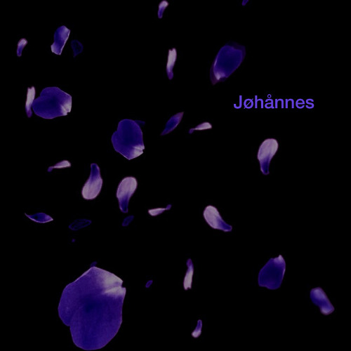 Petals at the Bottom of Memory