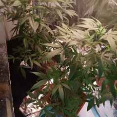 break em off something