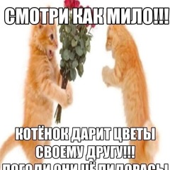 🤘🏿Project_71.mp3 (uppertovv)