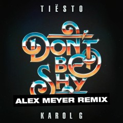 Tiësto & Karol G - Don't Be Shy (Alex Meyer Remix)