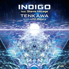 Indigo feat. Steve Hillage  - Tenkawa (Uni Remix)