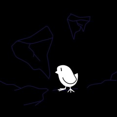 Cute Bird