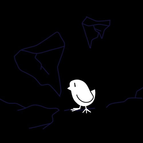 Cute Bird