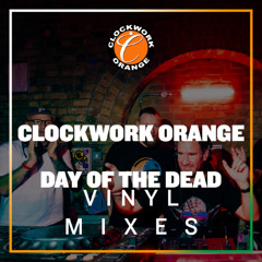 D.O.T.D. Vinyl Room - Martin Wright