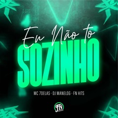 Eu Não To Sozinho - MC 7 Delas e DJ Manel OG