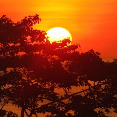 Wave (Marsh 675 MoombahChill Remix) 2023 🇵🇬