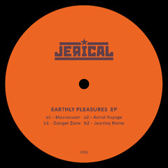 DS Premiere: Jerical - Journey Home [JR06]