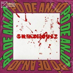 Radio Slave Vs. VINNIE - Po De Grindhouse (Roger Mendez Mashup)(FULL SONG IN DESCRIPTION)