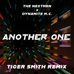 Another One (Tiger Smith Remix)