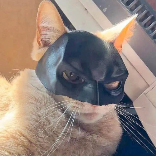 SMOKE ALARM FREESTYLE