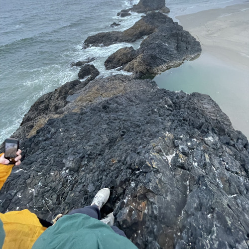 crown (p. typhoon + leyton)