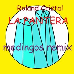 Roland Cristal - LA PANTERA (medingos remix)