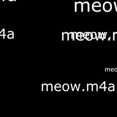 meowww and windows7 Sparta remix